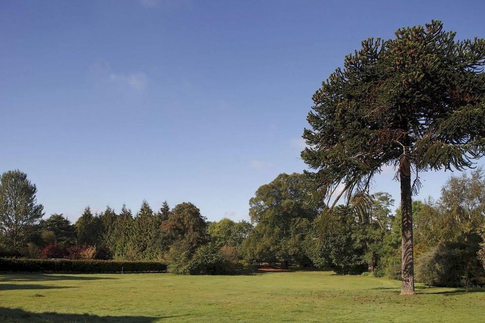 Woodland Grange Lillington (Warwickshire) Exterior foto